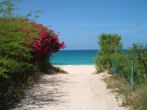 image11